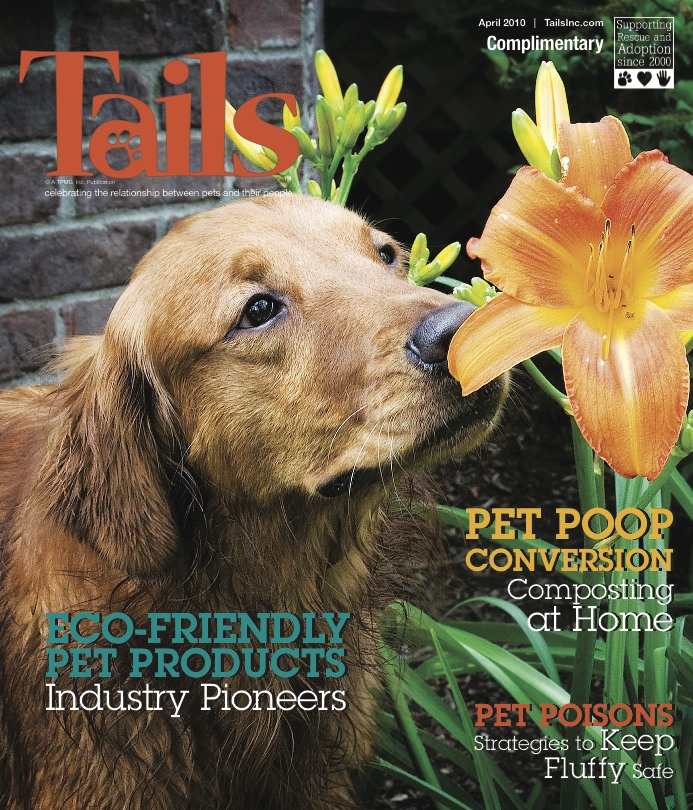 Louisville Golden retriever "Simon" makes the cover of a national magazine. 